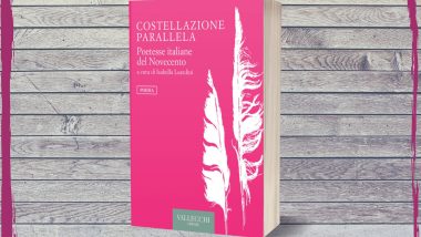 Costellazione parallela, copertina libro