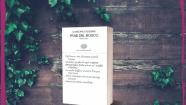 chandra candiani recensione pane del bosco